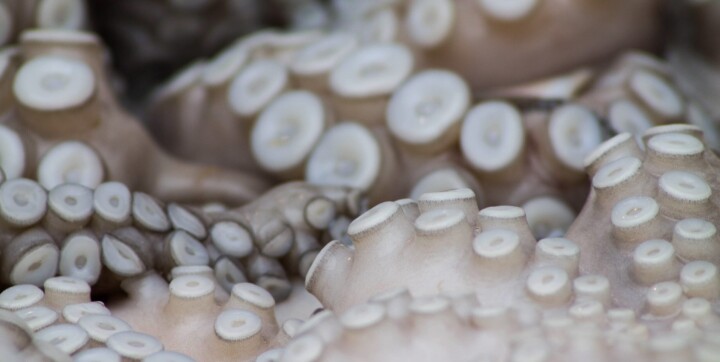 New report on innovative material proves the potential of a sustainable fashion future