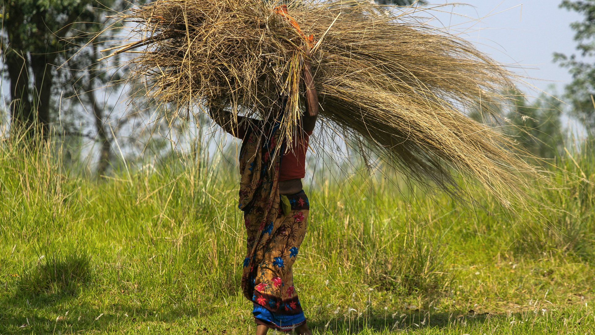 Exploring viable biomass pathways for textile manufacturing